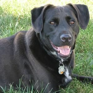 Meet your Posher, Tanja